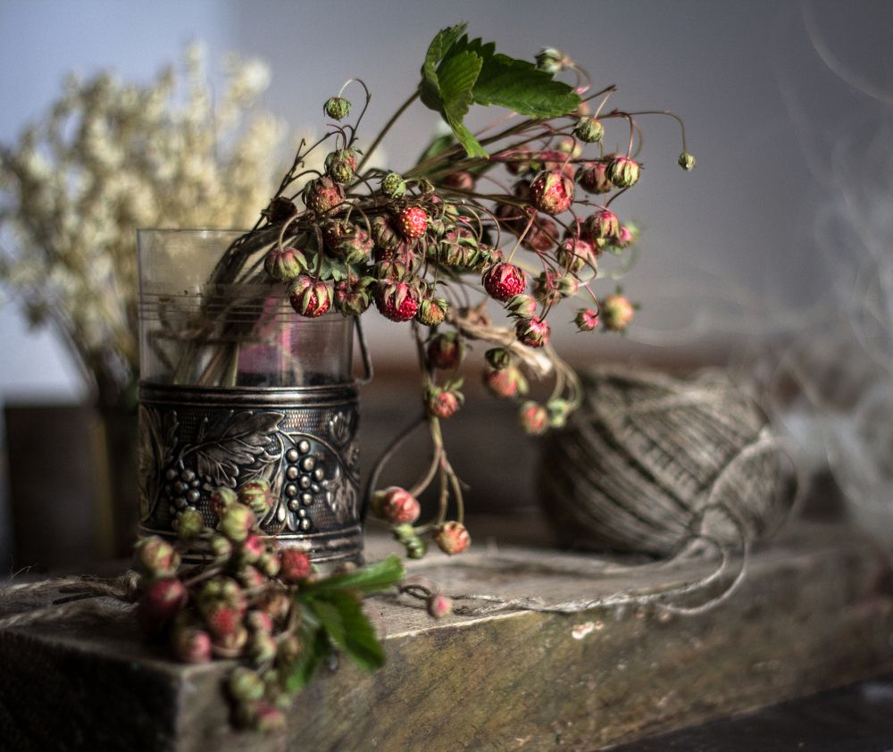 Photograph by Ревкова Анастасия