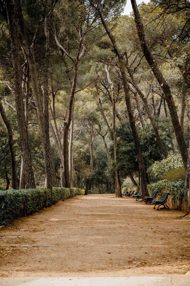 Прогулка по парку