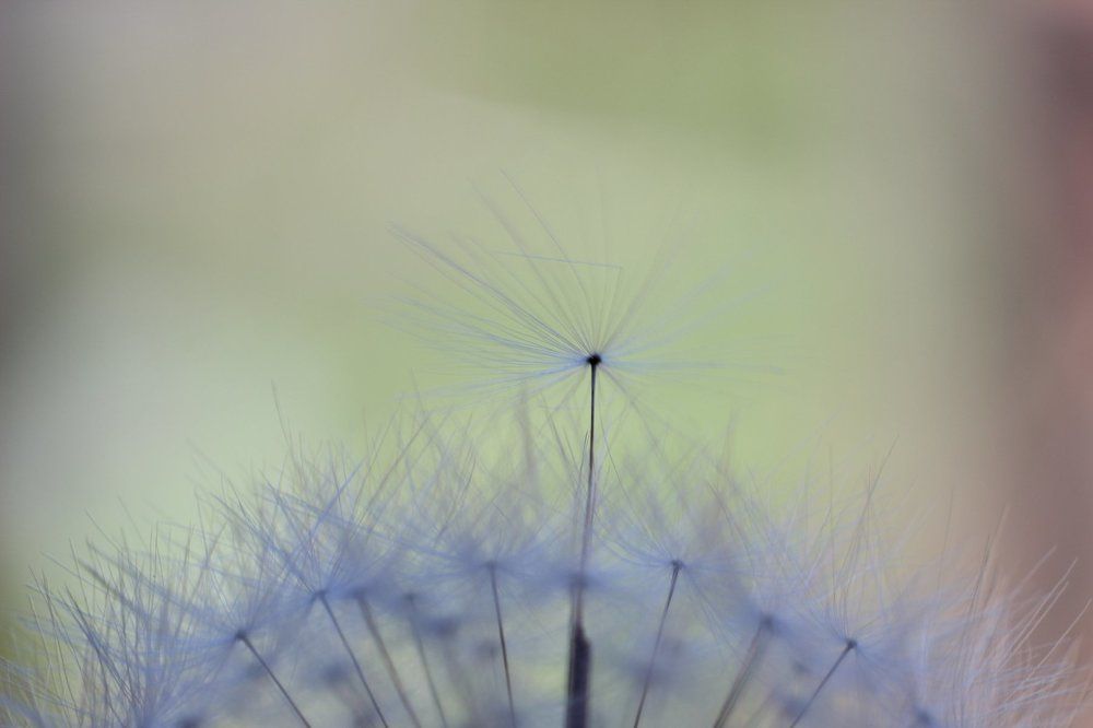 Photograph by Ирина