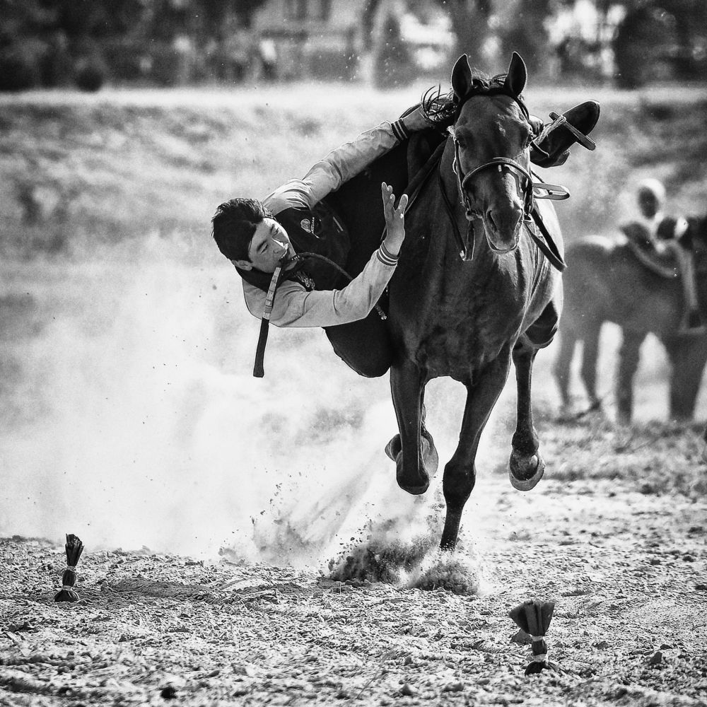 «Мы с тобой одной крови». Из серии "Рожденные в седле".