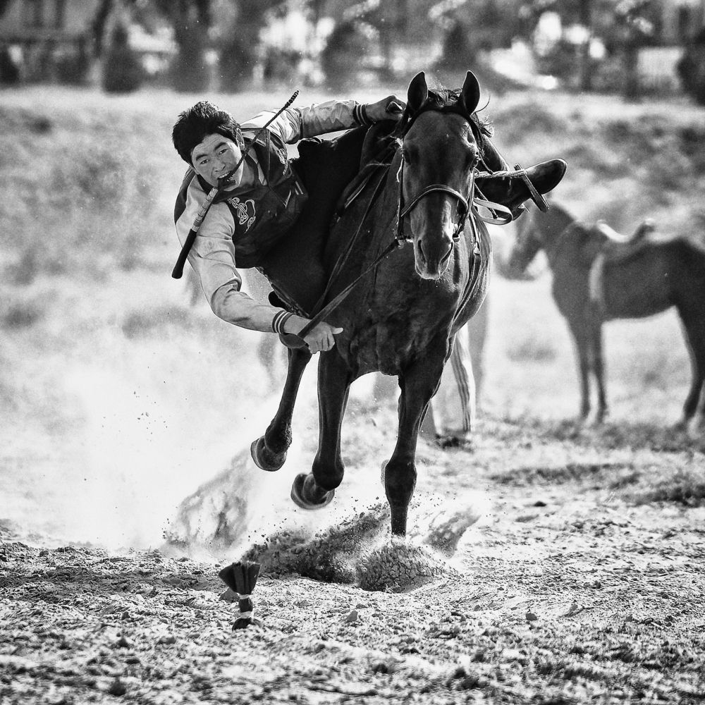 «Рожденные в седле - 2»