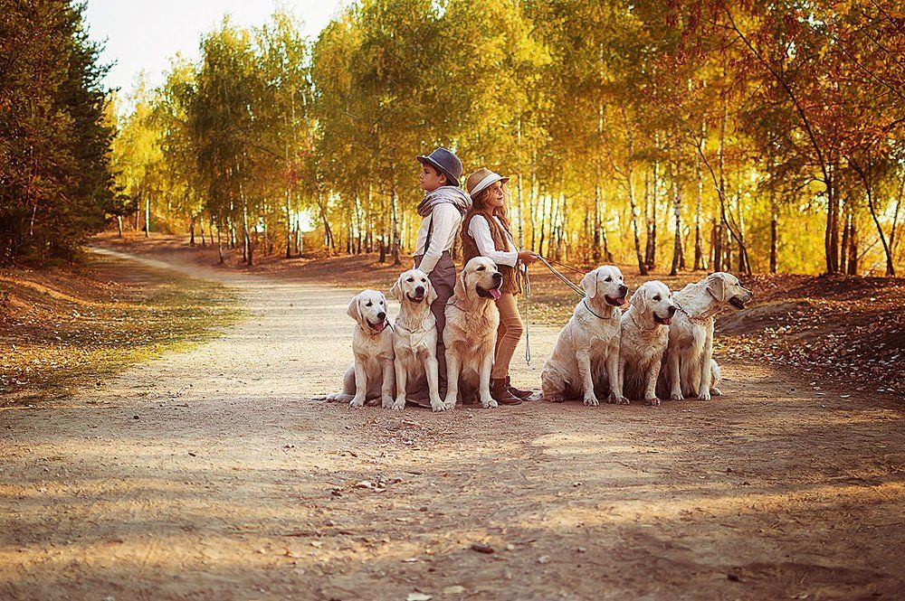 МК Недялковой