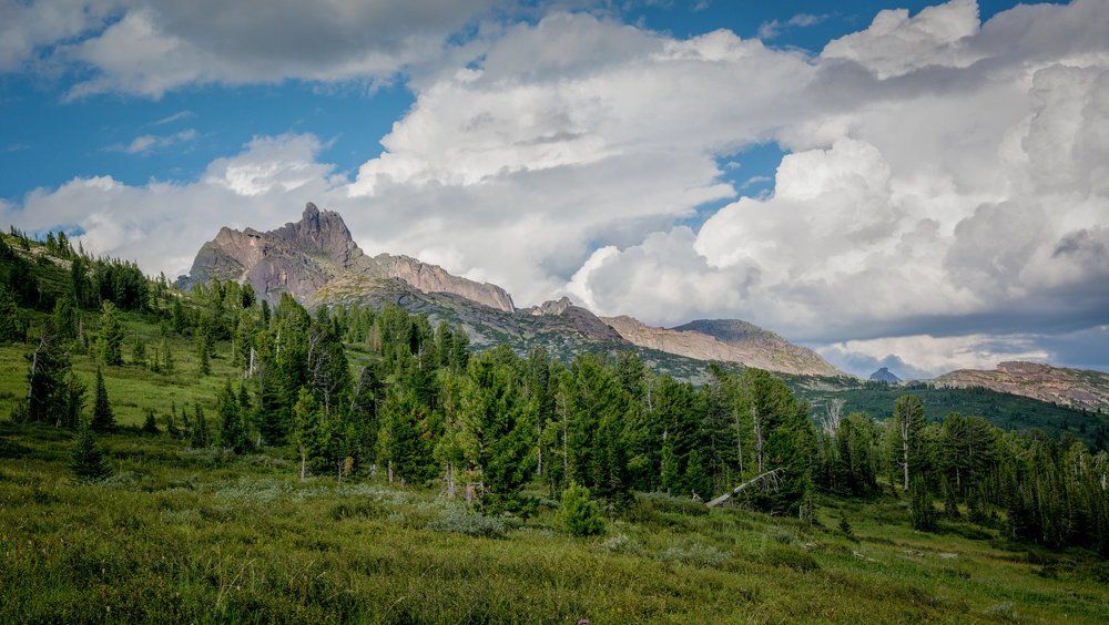 На исходе лета
