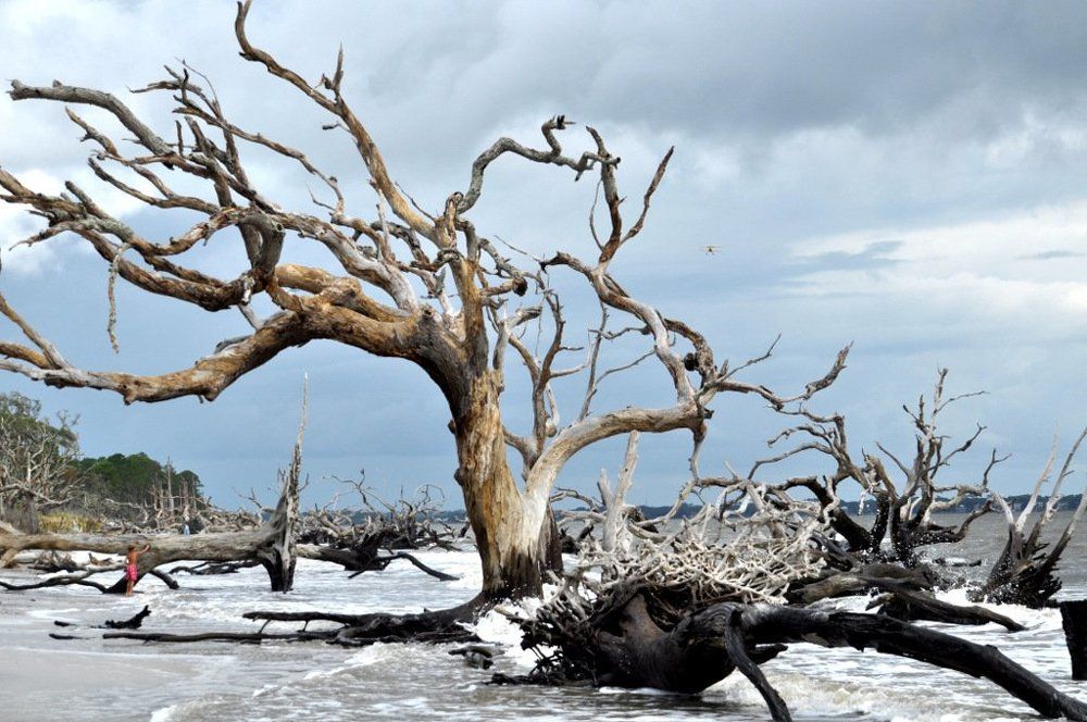 Вопреки всему