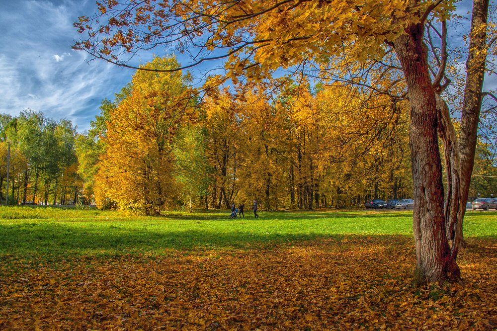 три цвета времени