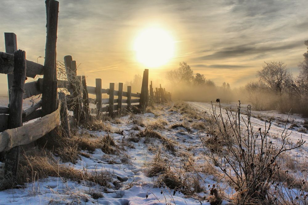 Утро туманное