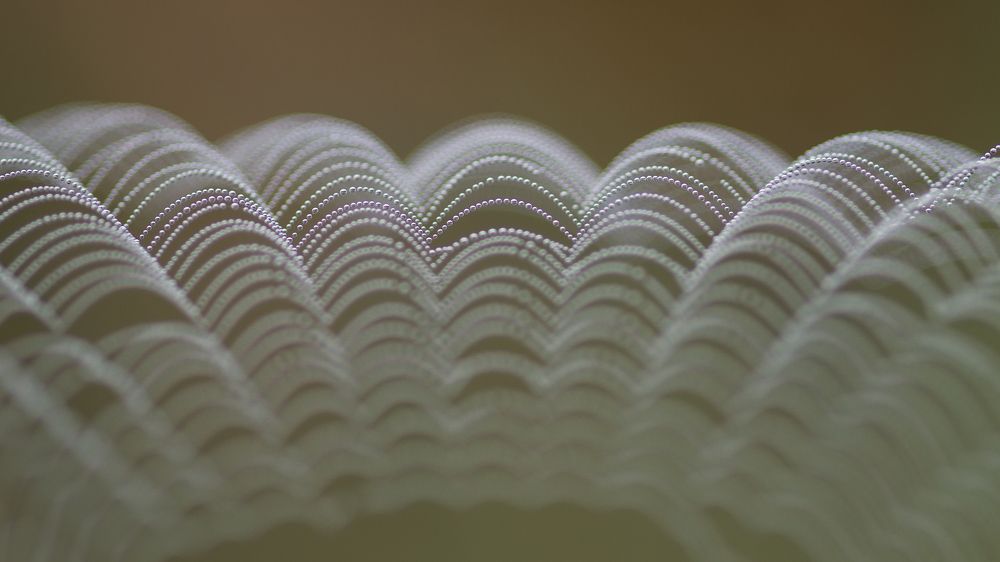 Вариация с паутиной.