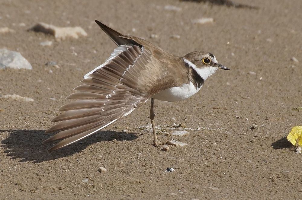"Вдох глубокий. Руки шире. Не спешите, три-четыре!"
