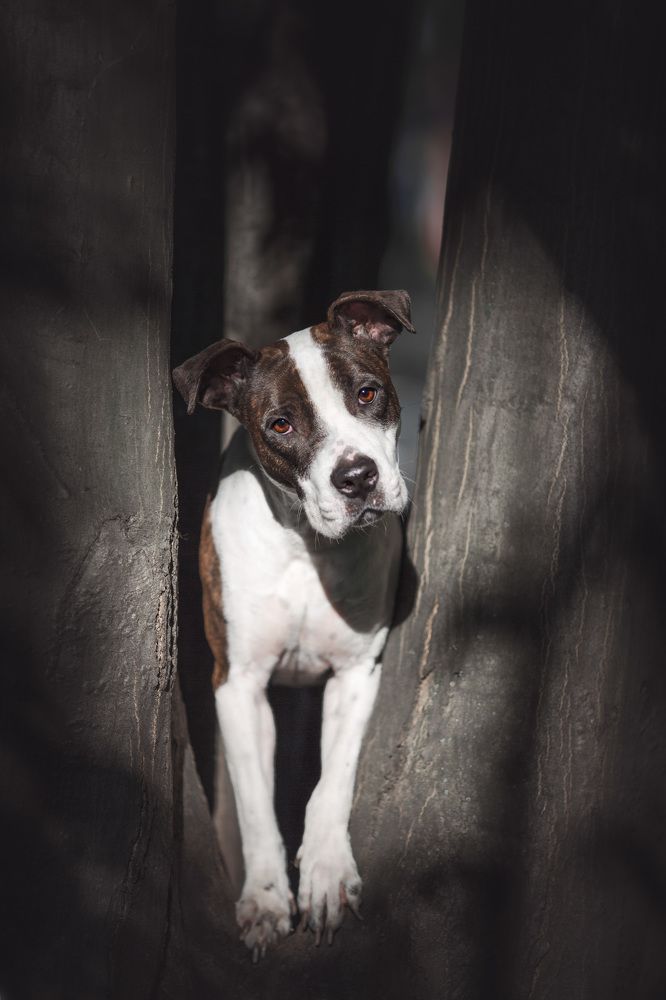 Слушаю внимательно