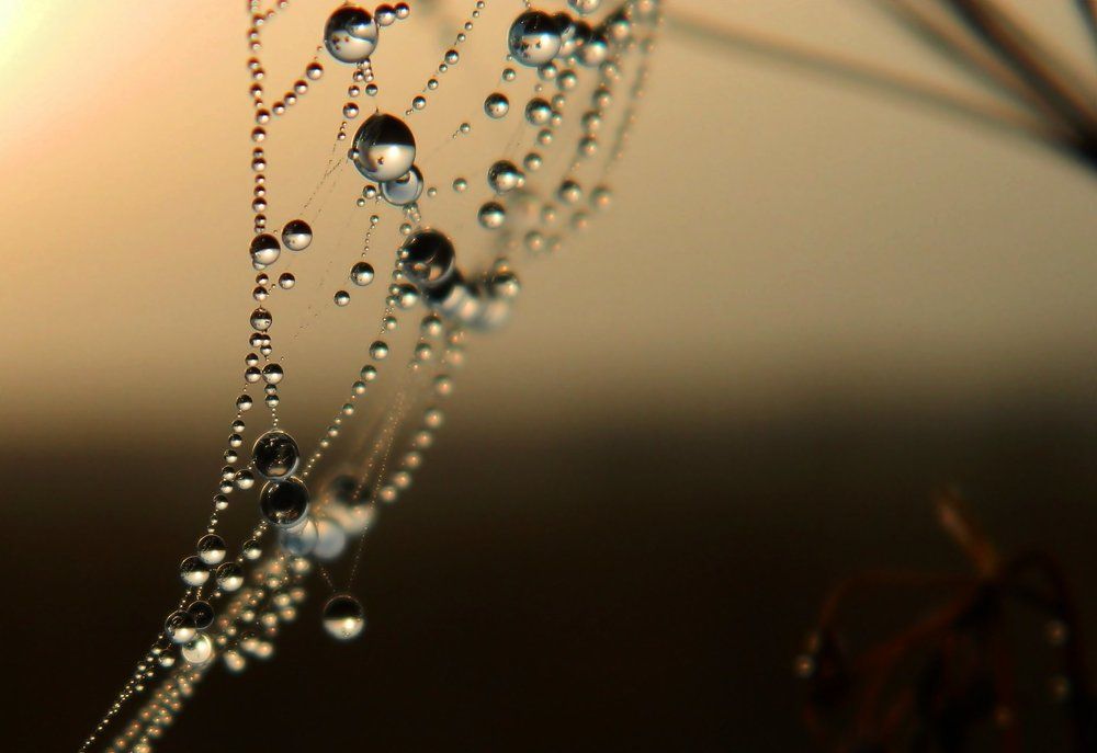 отражалось солнце....