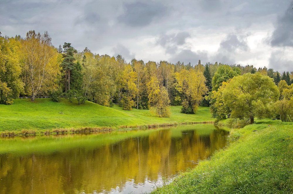 В осеннем парке
