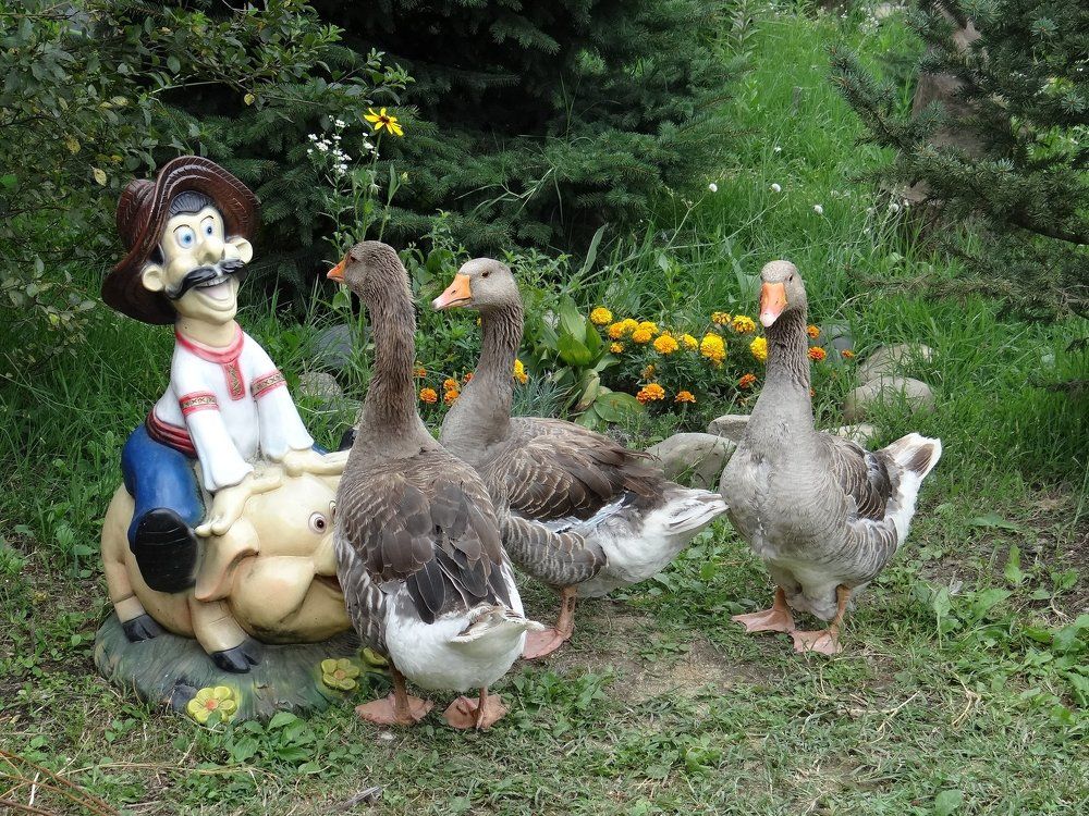 Photograph by Natalie