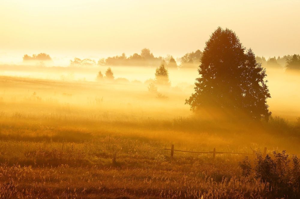 Утро золотое...
