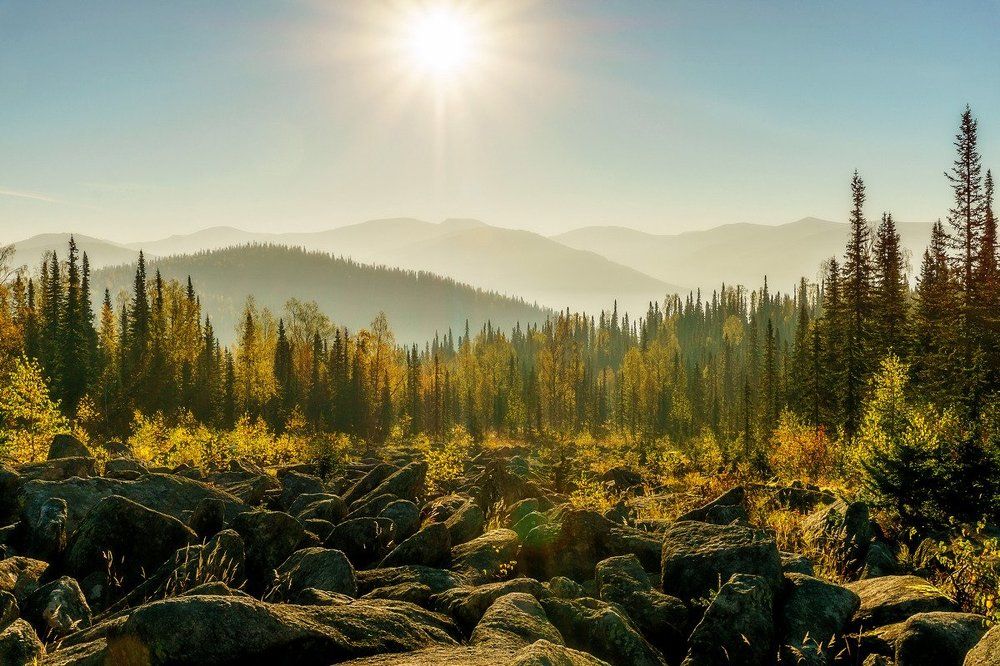 Осенние утро!