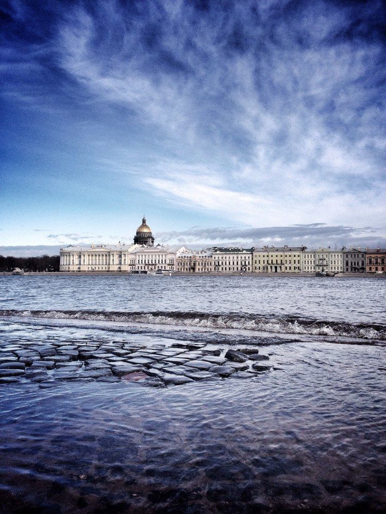Люблю тебя, Петра творенье