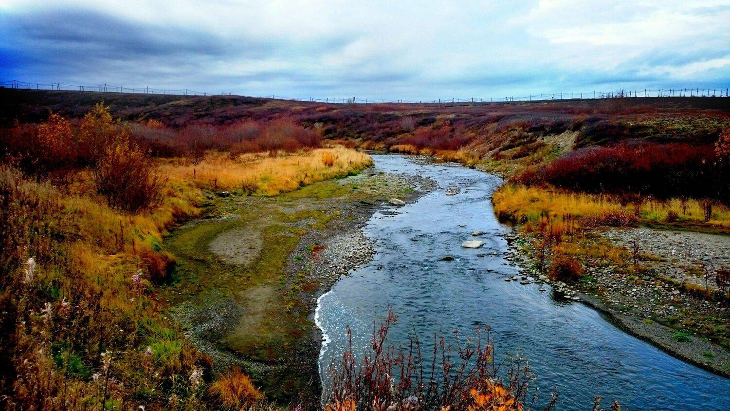 Осень золотая