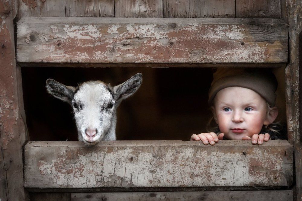 Спрятались