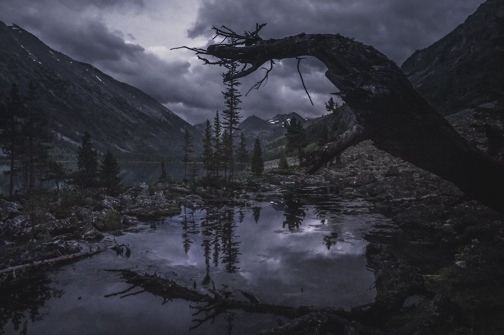 Мультинский Дракон