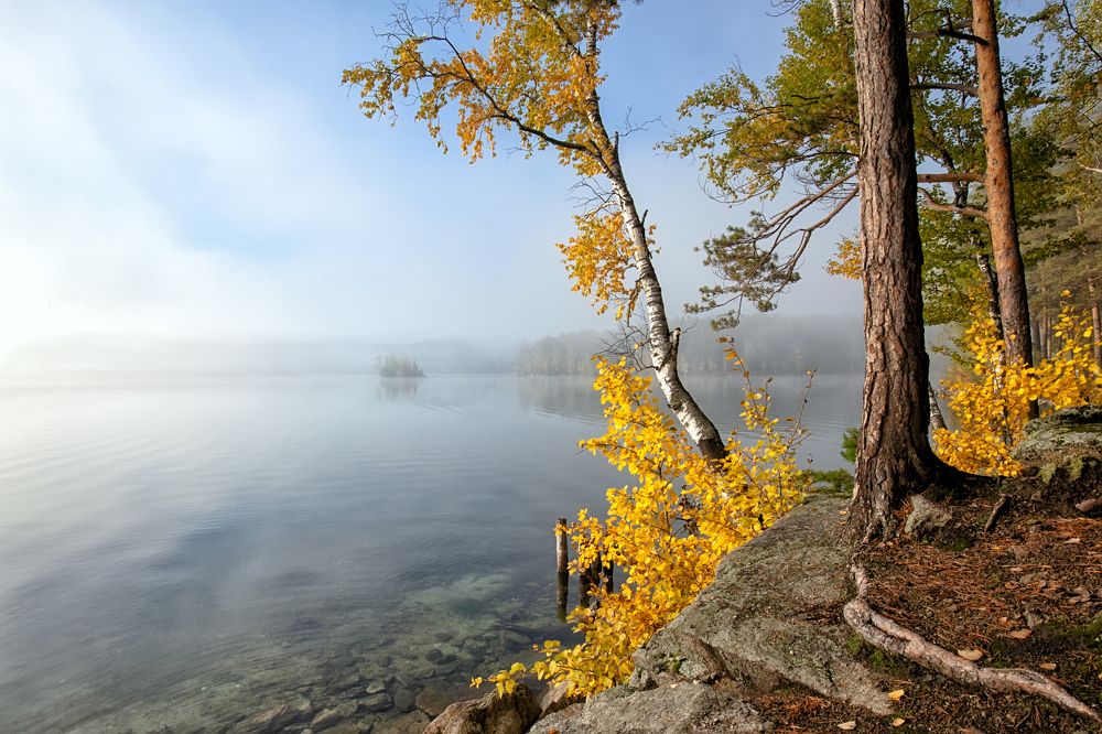 Осенние краски