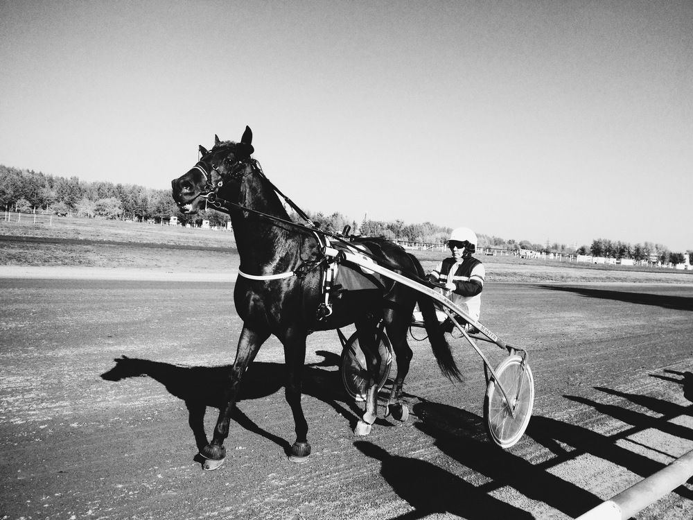 к о н н а я  и н д у с т р и я .