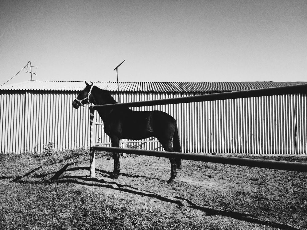 Photograph by Александра