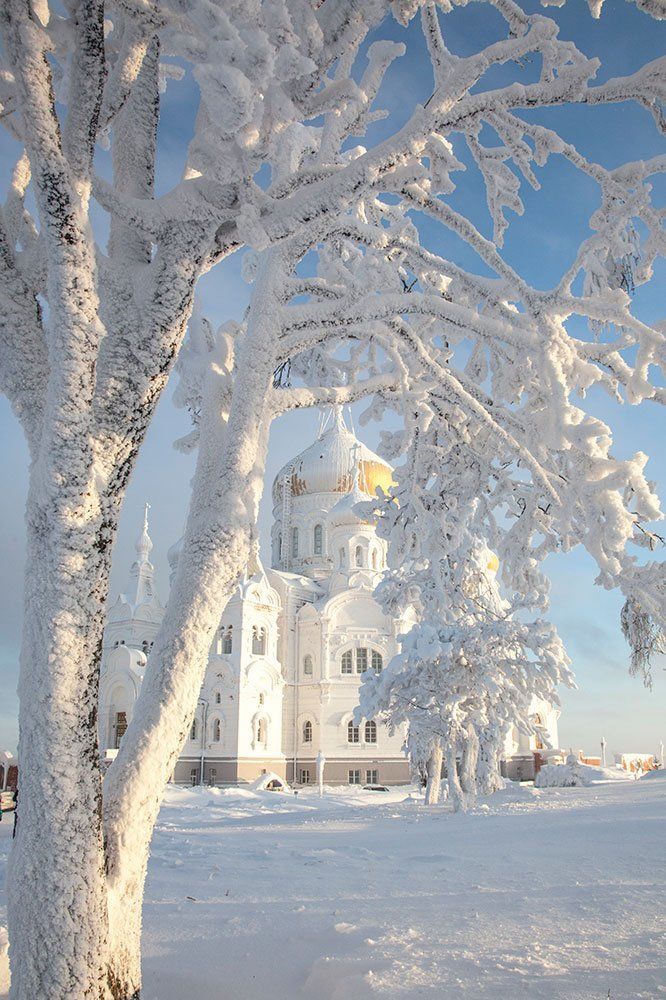 Зимняя сказка