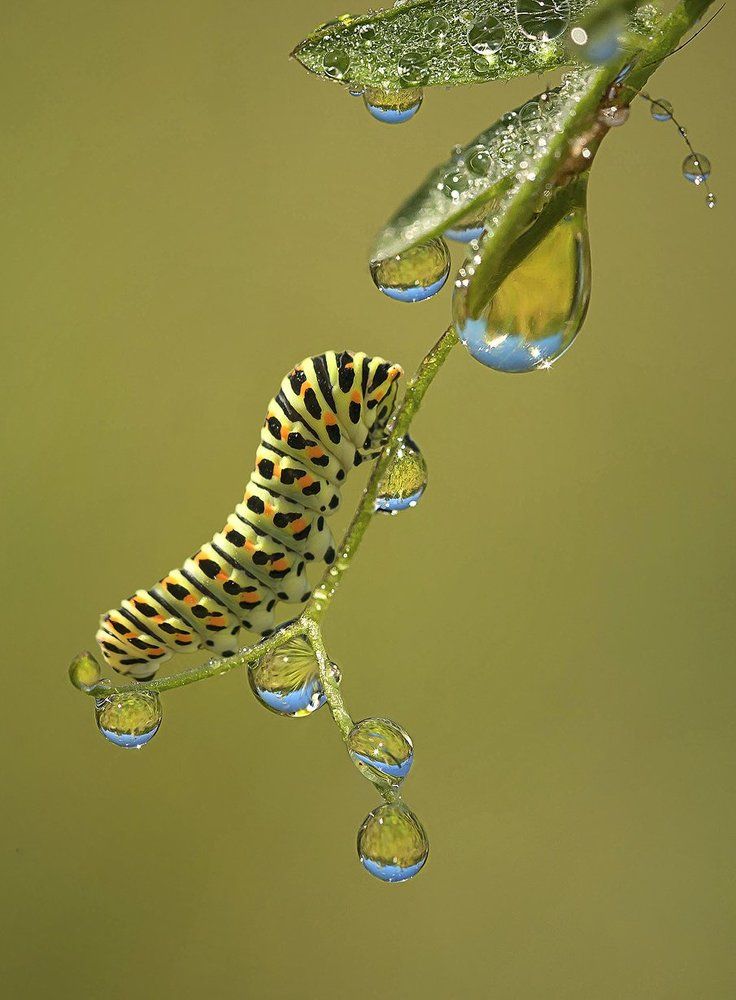 После дождя