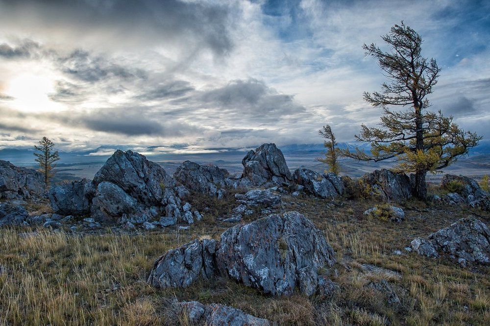 Photograph by Толмачев Дмитрий