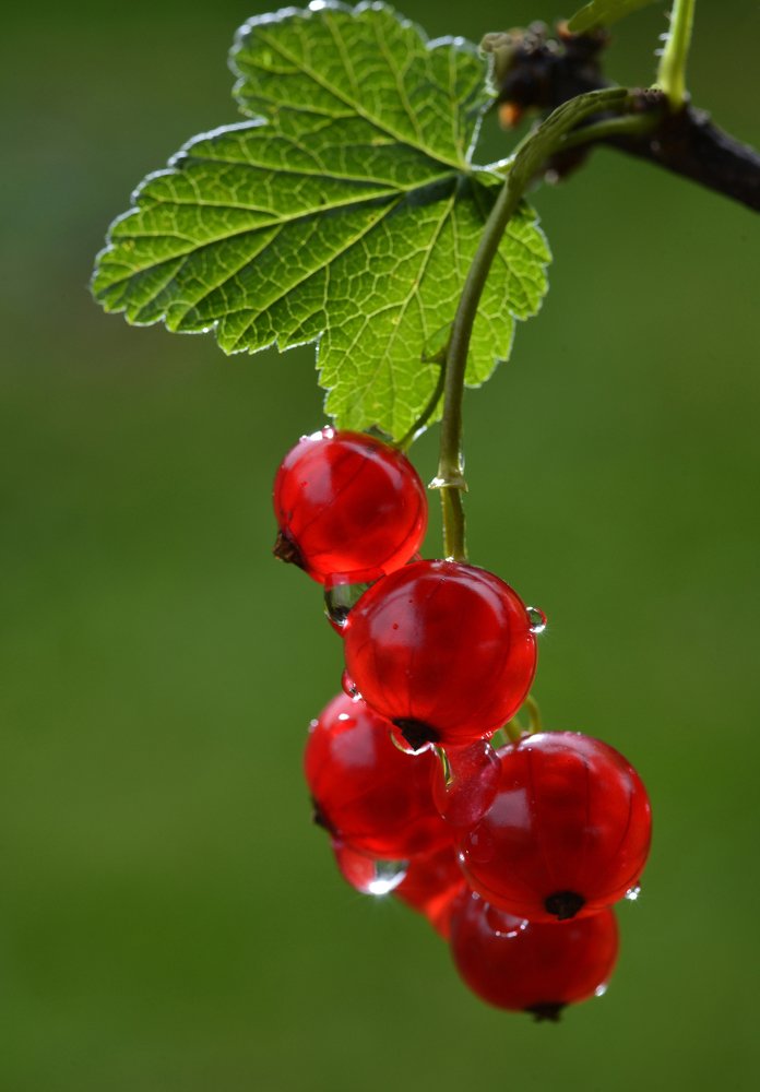 солнечный день