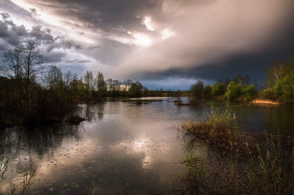 Первый весенний дождь.