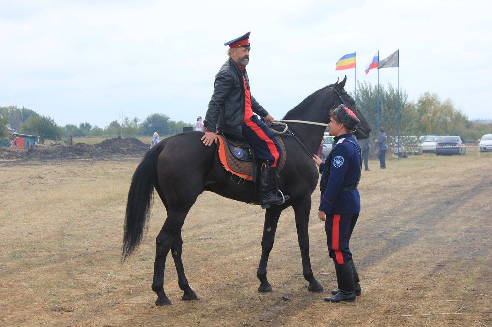 Донские казаки