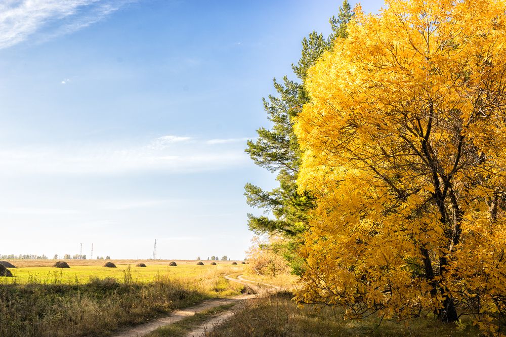 Photograph by Караваев Виктор