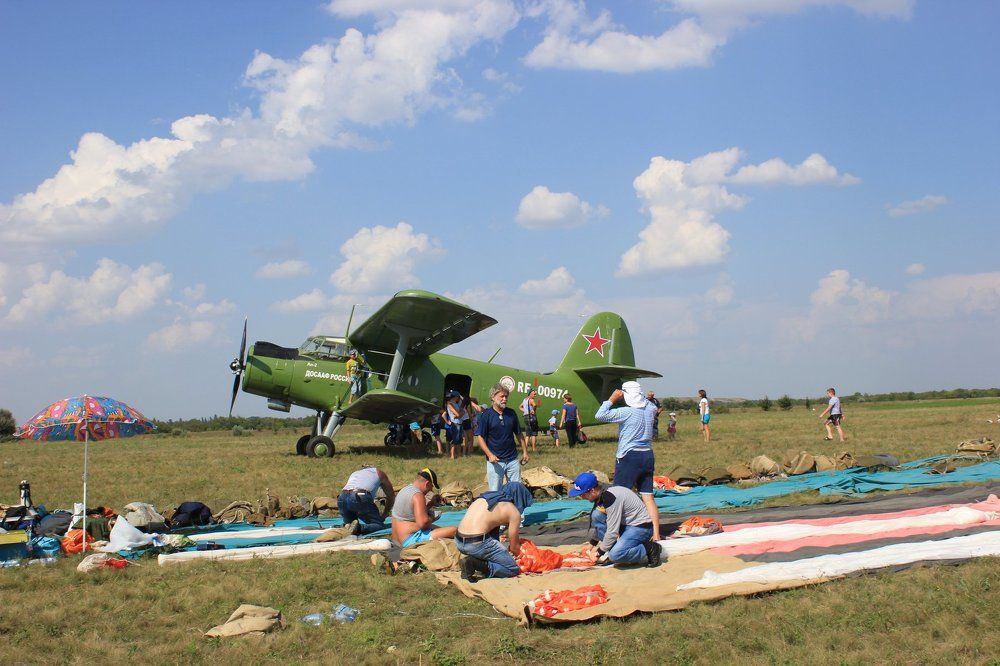 Стремящиеся в небо