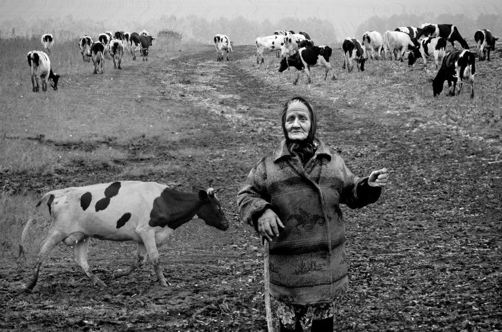 Photograph by Эдуард Тевосов