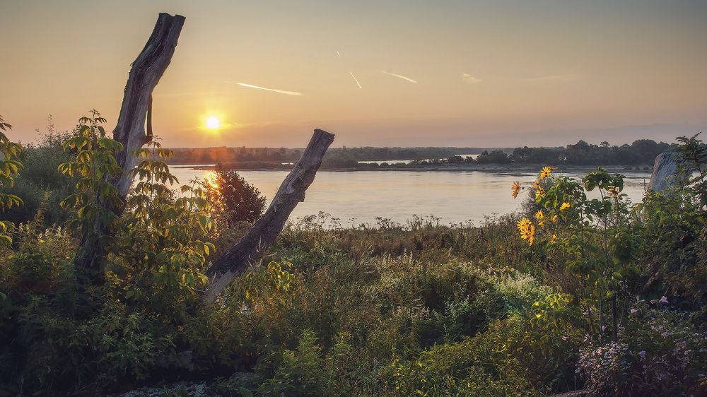 УМИРОТВОРЕНИЕ