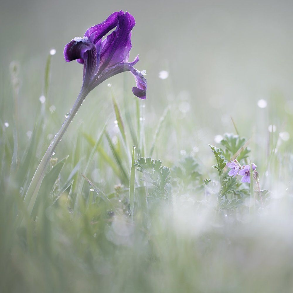 Под присмотром