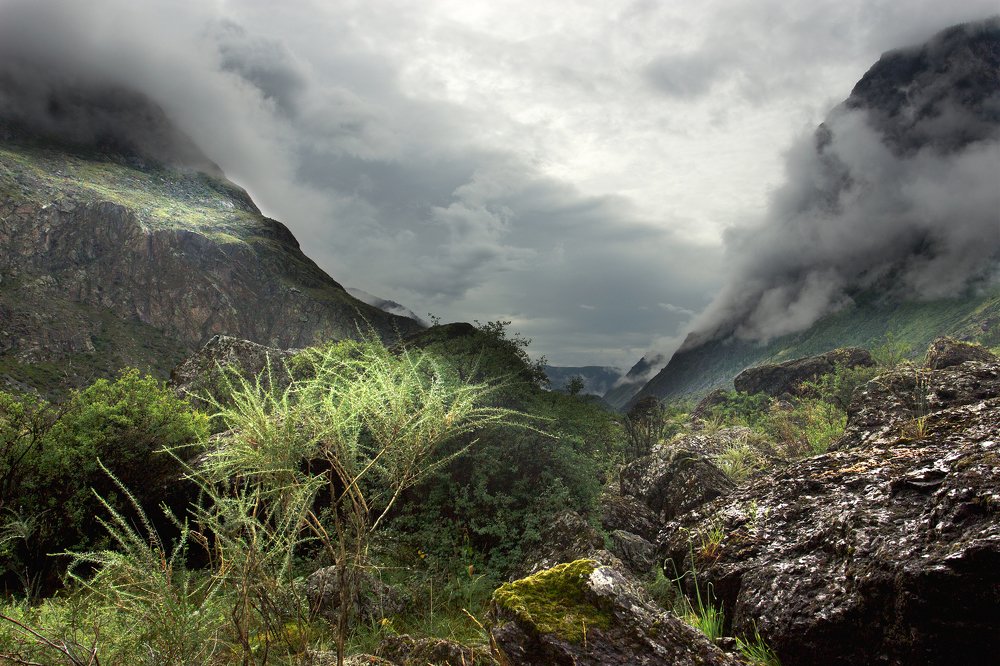Игра света и тумана в горной долине.