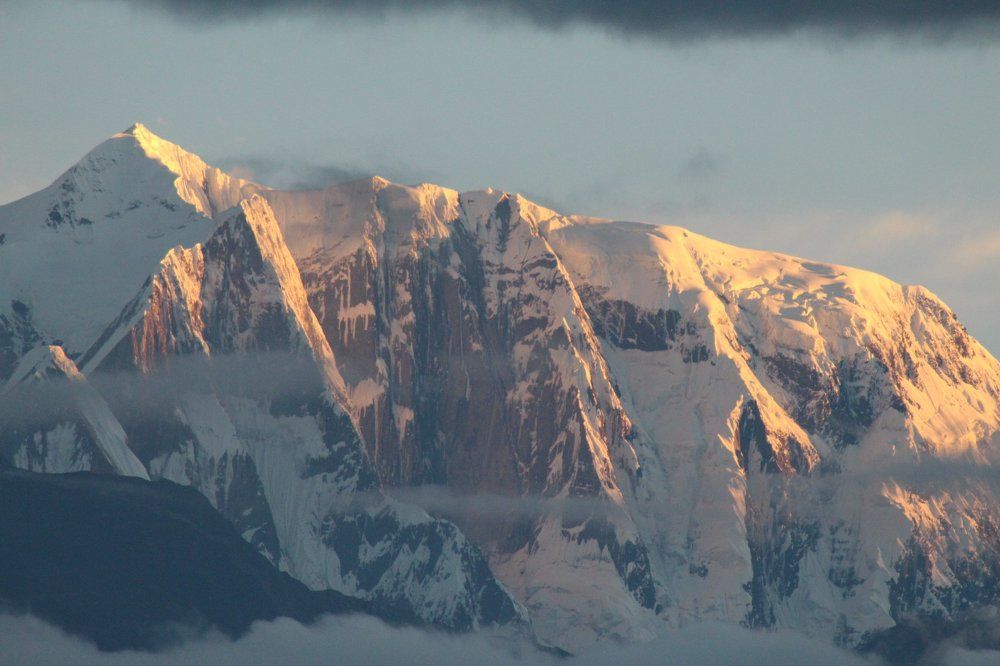 утро красит нежным светом