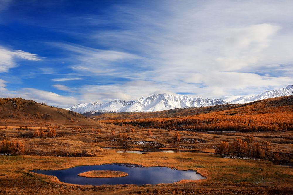В долине Джангысколь