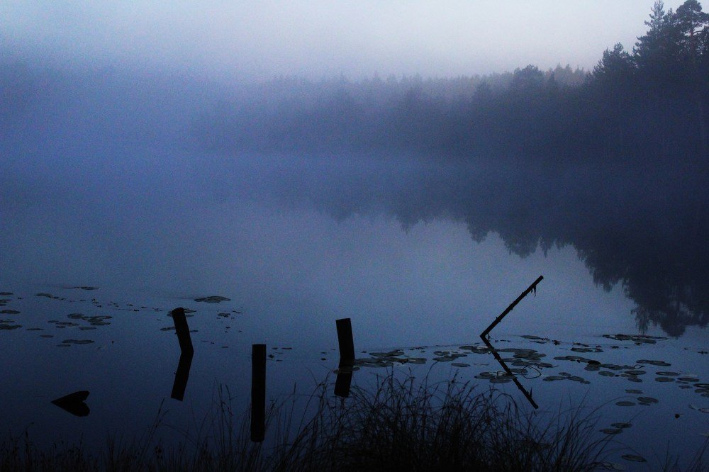 туманом дышит озеро