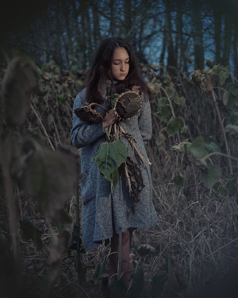 Подсолнухи