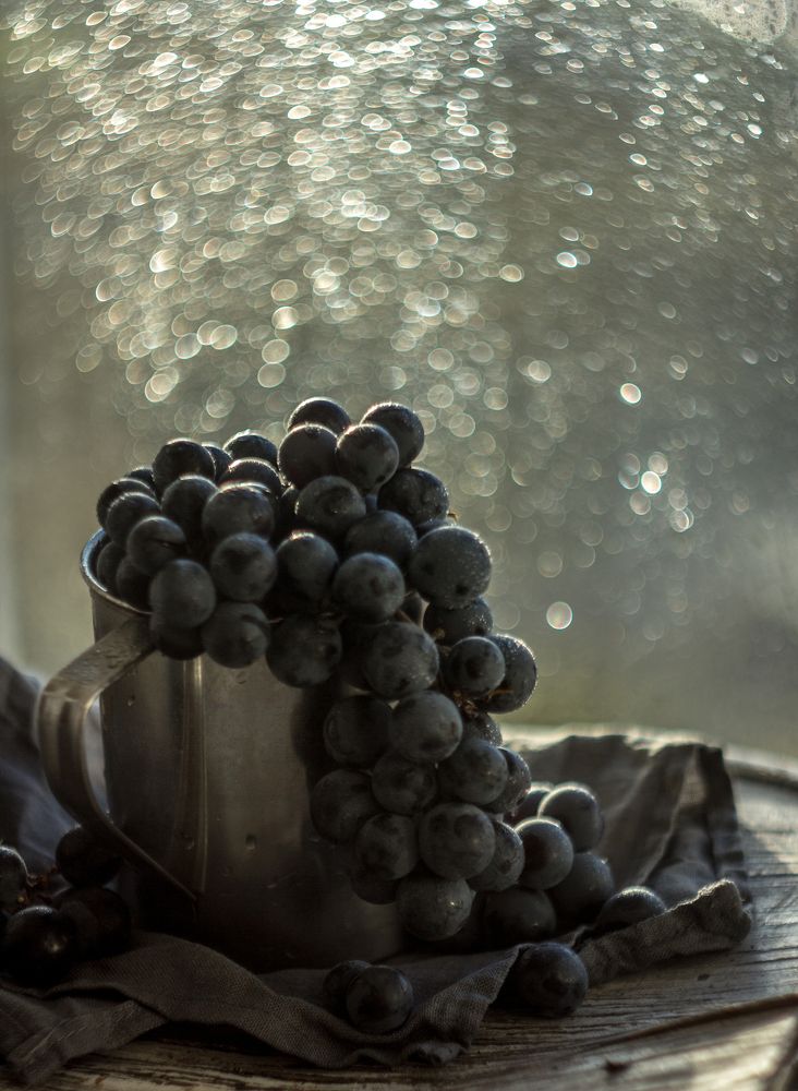 Photograph by Ревкова Анастасия