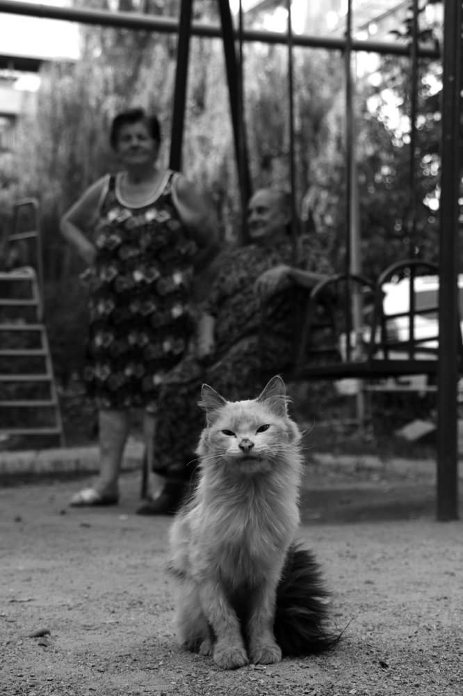 Вечер - во дворе.