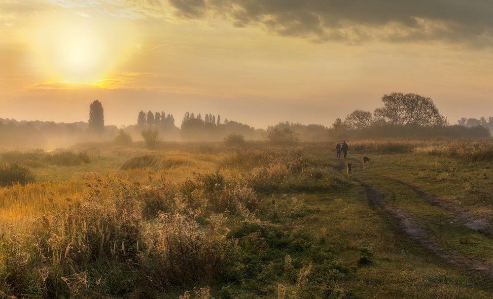Про жёлтое солнце осени, луг и бабье лето ...