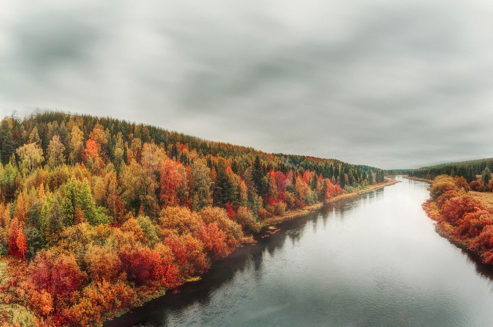 I don't know what to say