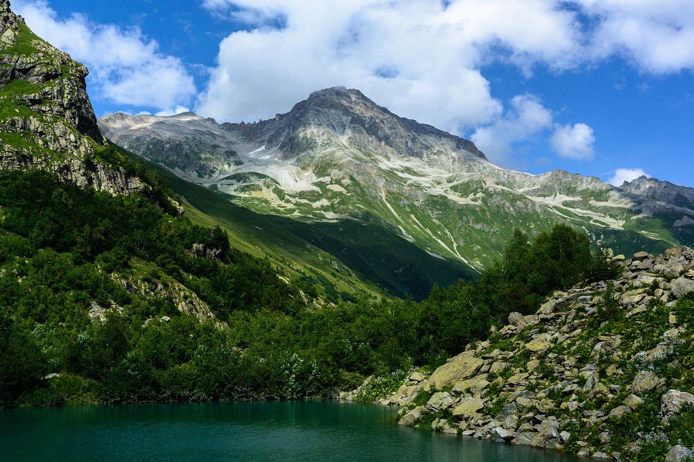 Лучше гор...