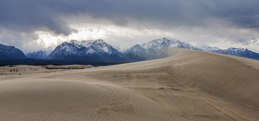 Северный ветер , северной пустыни