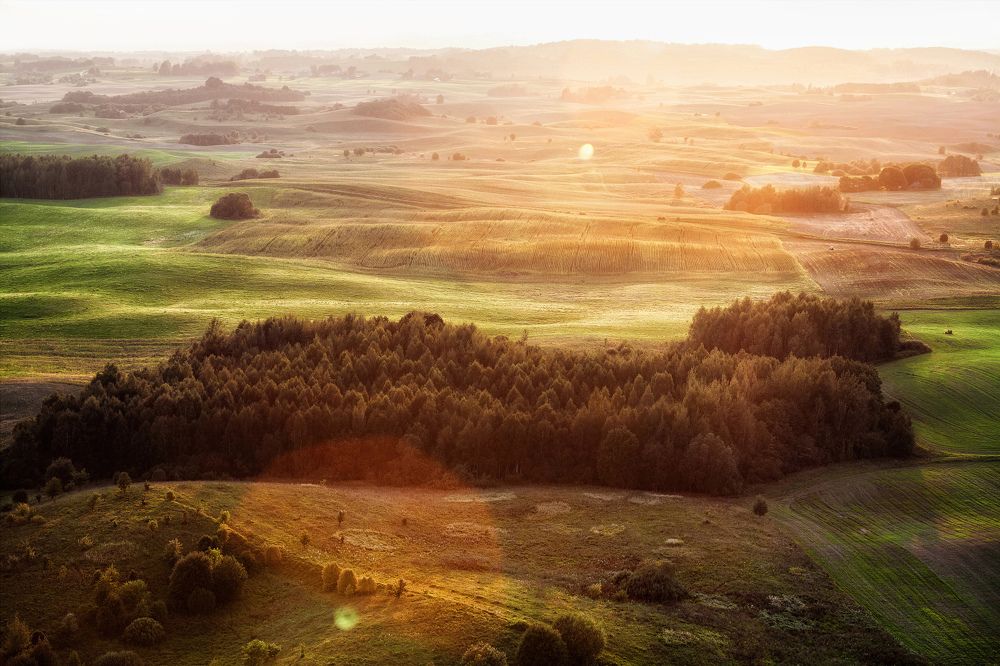 "Золотой час"