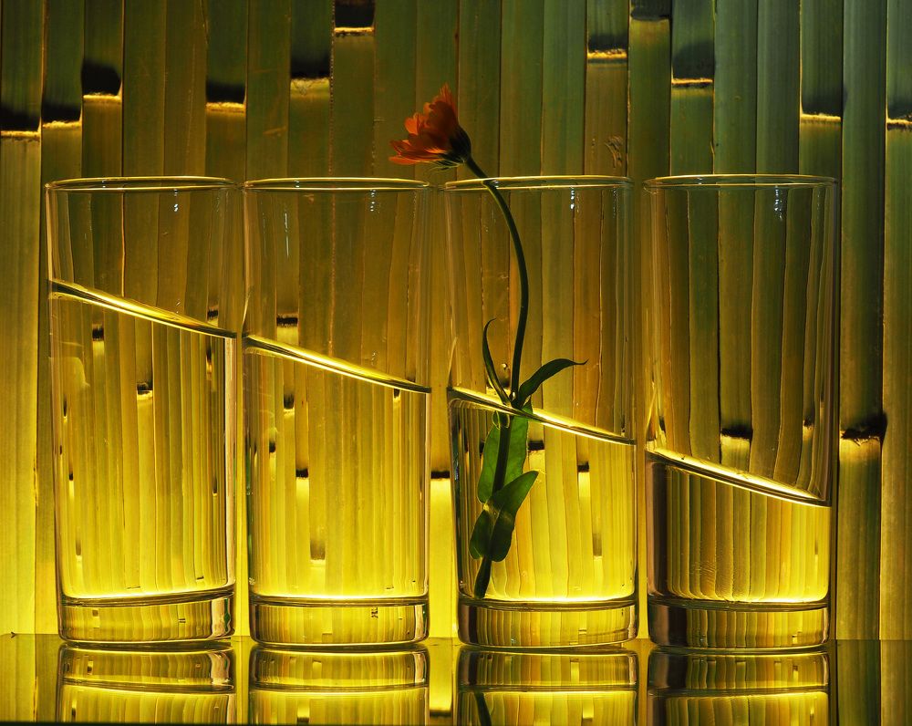 Ватерлиния