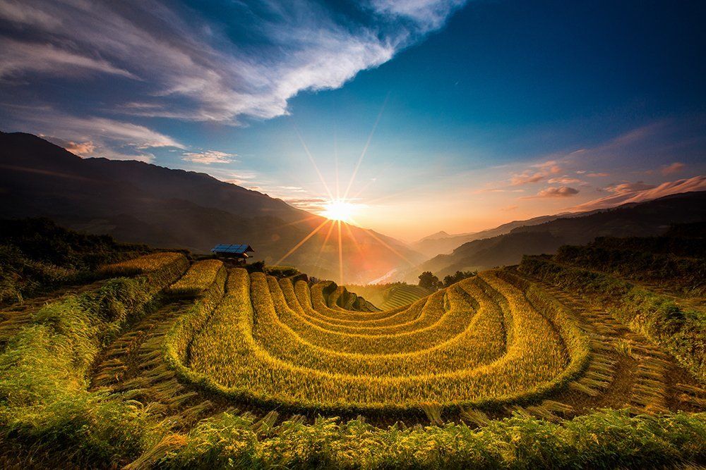 Before the Sun goes down